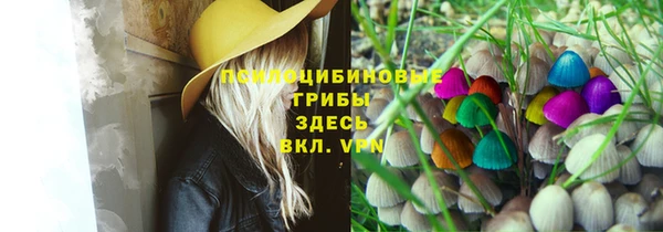 мдпв Арсеньев